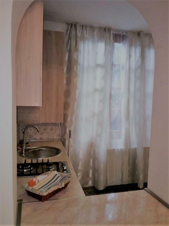 Old Сity Apartment ティビリシ エクステリア 写真